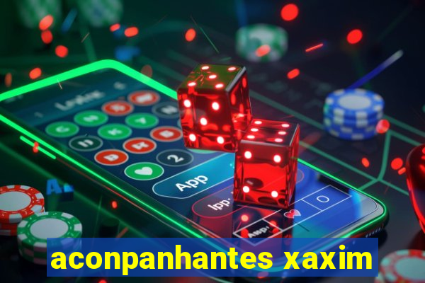 aconpanhantes xaxim